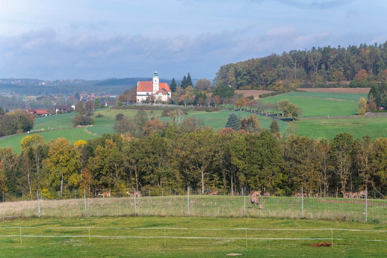Apartament Scheidlerhof Theisseil Zewnętrze zdjęcie